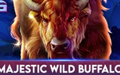 Majestic Wild Buffalo